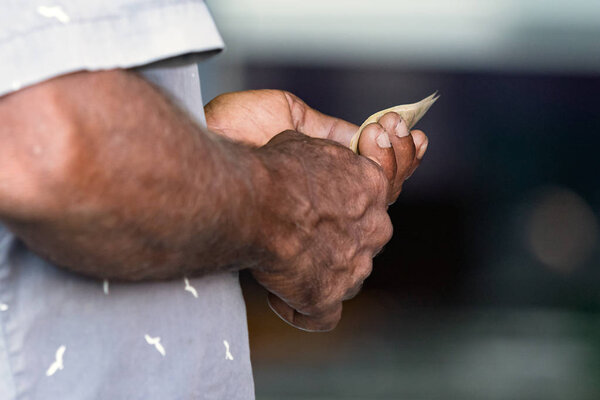 The hands of a man holding money (rufiyaa) after trading, outdoors.