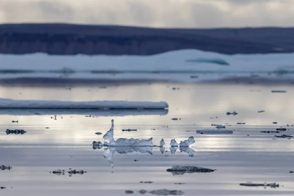 カナダのノースウエスト パッセージにあるプリンス ウェールズ島に位置する水路 ピール サウンドの自然な結晶氷の形 — ストック写真