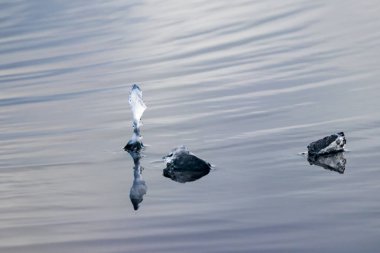 Peel Sound doğal kristal buz şekilleri, Kanada'da Northwest Passage Prince of Wales adada bulunan bir su yolu