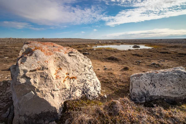 加拿大北部努纳武特维多利亚岛西南海岸的理查森夫人湾海滩的岩石和石头 — 图库照片