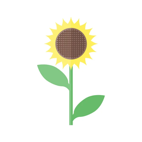 sunflower in flat style on white background