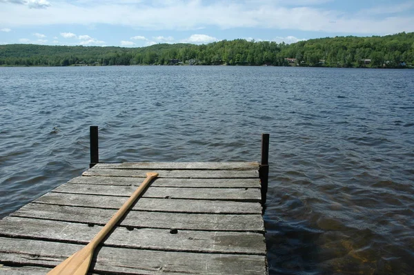 Magány-cédrus dokk egy kis nyugodt tó Stock Fotó