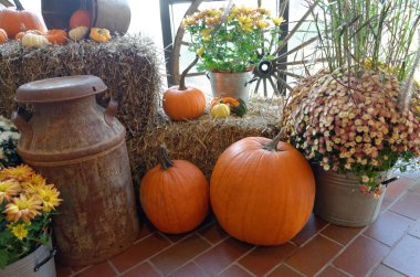 Sonbahar dekorasyonu