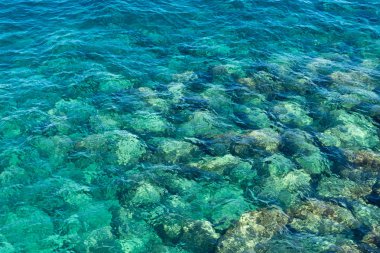 Monako 'da denizde mavi su