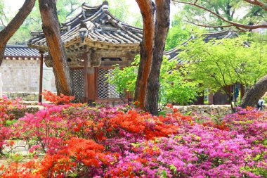 Seul şehir merkezi Eski sokaklar