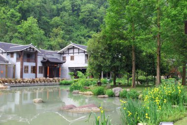 Çin 'de avatar Milli Parkı