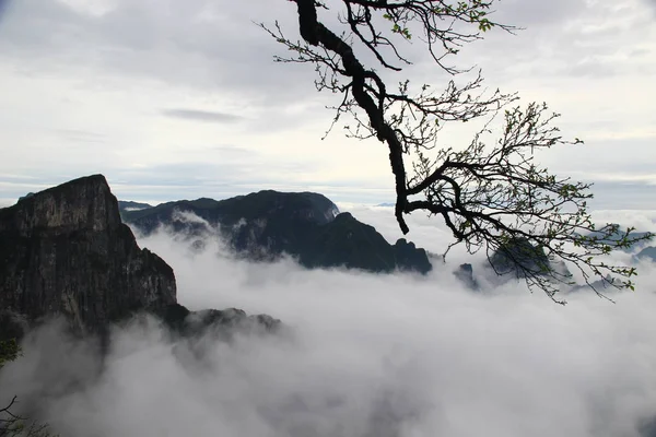 Tianmen Mountain National Park China — Stockfoto