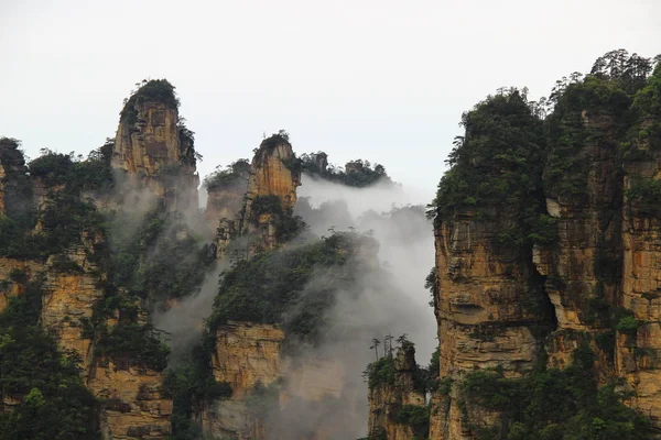 Avatar Nationaal Park China — Stockfoto