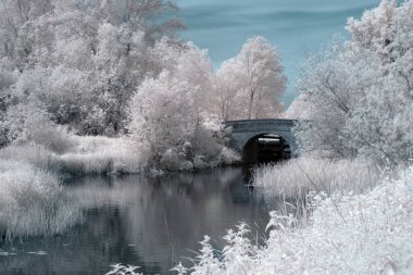 IR  Image Showing bridge built in 1794 over the river chelmer at Ricketts Lock