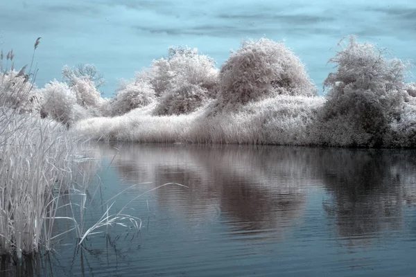 Infra Red image of the River Chelmer that runs through the Ciy of Chelmsford to Maldon