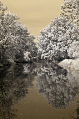 Nehir gibi bir cam üzerinde güzel yansımaları ile River chelmer
