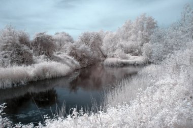 Hoe Mill kilidi 'nde nehir chelmer