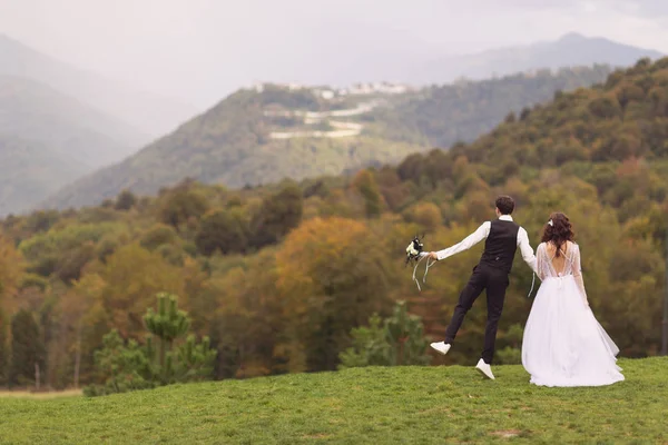 手をつないで山を見つめている若い素晴らしい新郎と花嫁のバックビュー — ストック写真