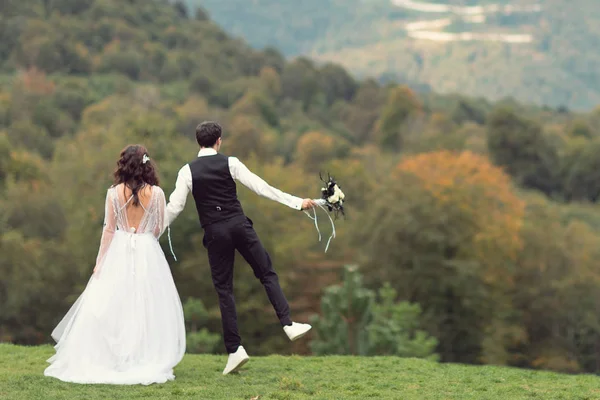 Back view of a young amazing groom and bride holding hands and looking at the mountains — Stock Photo, Image