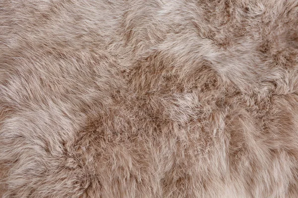 棕色兔毛纹理，动物皮肤背景 — 图库照片