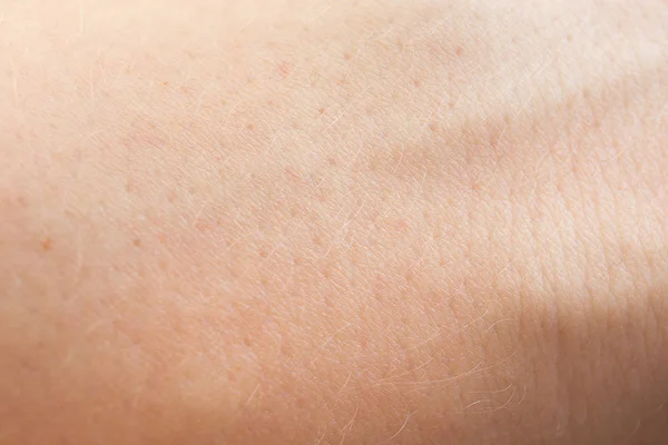 İnsan derisinin makrosu. İnsan deri dokusu