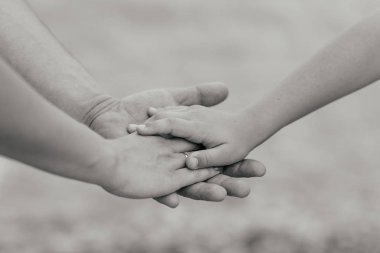 Aile konsepti. Ağacın kabuğunda ailenin üç eli var- bebek, anne ve baba. Birlik, destek, koruma ve mutluluk