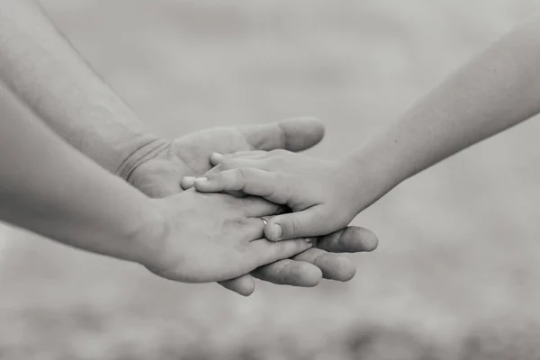 Aile konsepti. Ağacın kabuğunda ailenin üç eli var- bebek, anne ve baba. Birlik, destek, koruma ve mutluluk