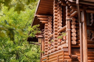 Kanada kaz suda wimming