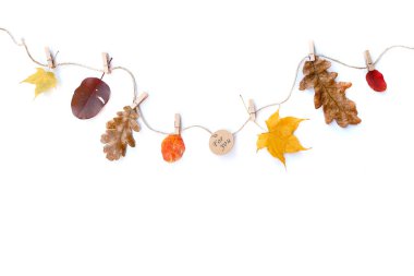 Sonbahar kompozisyonu izole edilmiş beyaz arkaplan. Senin için sonbahar yaprakları ve yazıtlar. Düz konum, üst görünüm, kopyalama alanı