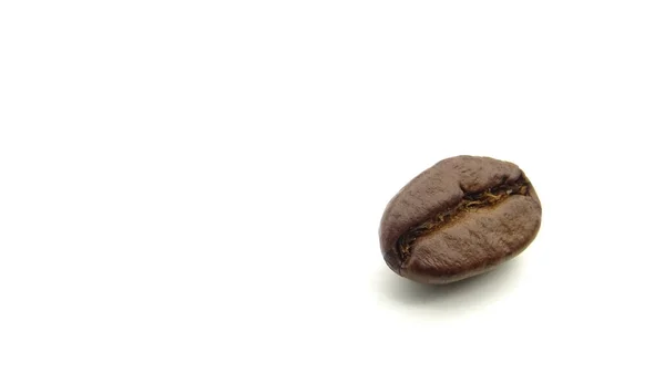 Primer plano de un grano de café asado sobre fondo blanco — Foto de Stock