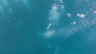 Dalgıçlar su altında keşif yapıyor. Dalış takımları olan insanlar derin sulara dalarlar. Tropik bir adanın yaz tatilinde dalgıç ekipmanlarıyla mavi okyanusta yüzmek.