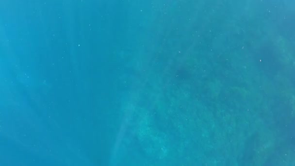 Rayons de lumière du soleil brillants d'en haut venant à travers l'eau bleu profond provoquant un rideau de réflexions. Les vagues sous-marines oscillent et coulent. Scène rayons lumineux crée un beau voile-Dan