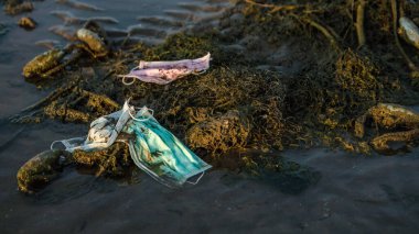 Coronavirus çevreyi kirletiyor. Dalgalar eski tıbbi maske atıklarını temizliyor. Kişisel koruyucu ekipmanlar suya girerse, deniz yaşamı için bir tehdit oluştururlar..