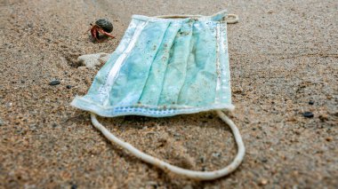 Coronavirus çevreyi kirletiyor. Eski tıbbi maske atığının yakınındaki keşiş yengeci. Koruyucu ekipmanlar suya girerse, deniz yaşamı için bir tehdit oluştururlar..