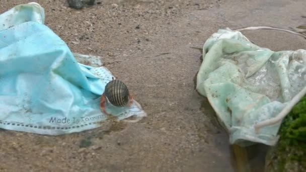Încetinirea Coronavirusului Poluează Mediul Înconjurător Crabul Pustnic Deşeuri Vechi Mască — Videoclip de stoc