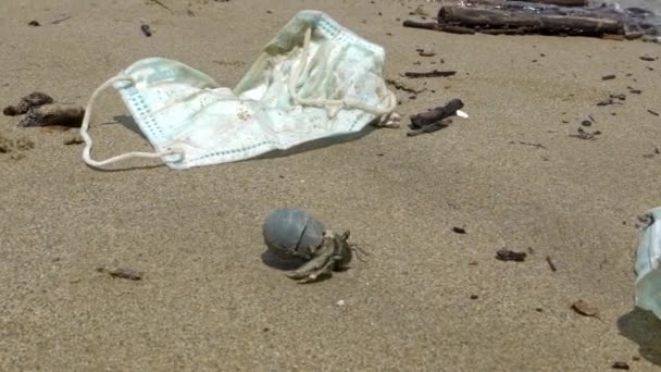 Pobre Caranguejo Eremita Transportar Tubo Plástico Rastejando Praia Areia Com — Vídeo de Stock