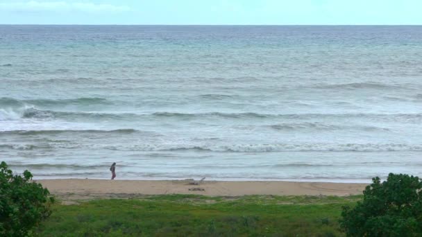 Rallentamento Una Donna Che Cammina Una Spiaggia Selvaggia Vuota Durante — Video Stock