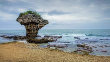 Vase Rock was formed by the rising of the coastal coral reef, just off Liuqiu Island, of Pingtung County, Taiwan. Its lower part has been eroded by the sea thus forming a vase-shaped structure clipart