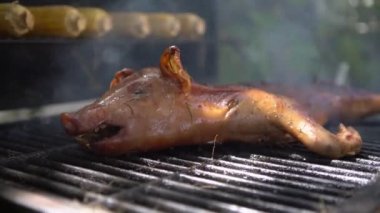 4K, kızarmış domuz yavrusu ızgarada kızartılıyor ve koçanda mısır var. Barbekü ızgarasında leziz bir domuz var. Ev yemeği. Şef arka bahçede lezzetli domuz eti pişiriyor.