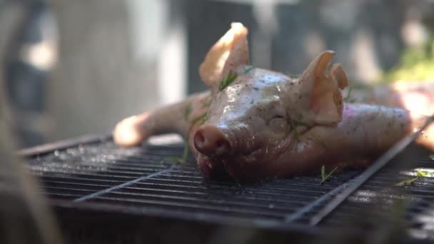 Bbq Whole Grilled Pig Garden House Home Cooking Crispy Roasted — Stock Video
