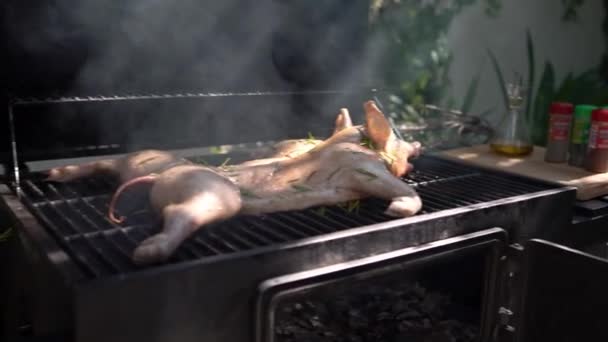 Maialino Arrosto Croccante Che Viene Grigliato Sul Barbecue Primo Piano — Video Stock