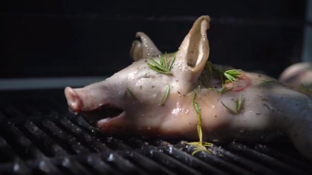 Churrasco Porco Grelhado Inteiro Casa Jardim Cozinha Caseira Porco Assado — Vídeo de Stock