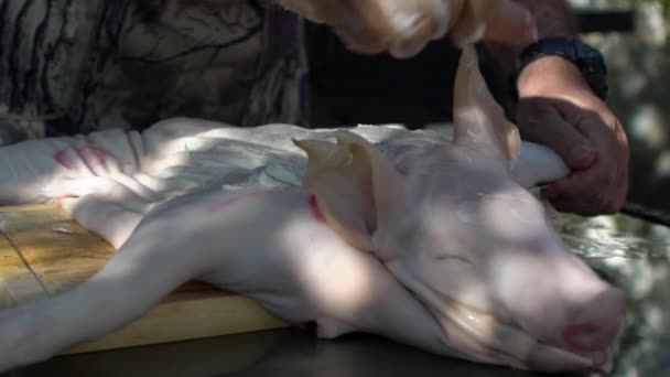 Zpomalený Kuchař Připravil Syrové Sele Grilování Grilu Detailní Záběr Muže — Stock video