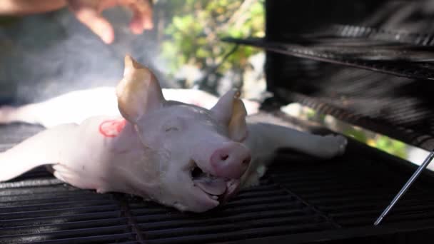 Chef Kocht Grill Mit Einem Ganzen Schwein Auf Dem Grill — Stockvideo