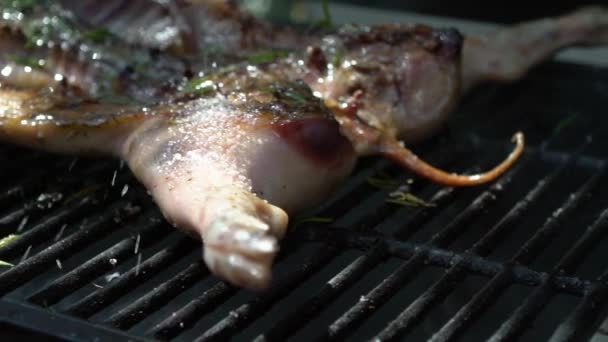 Mouvement Lent Chef Mettre Sel Sur Porc Sur Barbecue Gros — Video