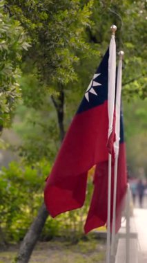 Yürüme yolu boyunca ağaçların olduğu bir şehir parkında, doğa ve kültürün karışımını sembolize eden Tayvan bayrağının dikey yavaş hareketi.