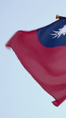 Vertical Slow motion of Taiwan flags displayed along a busy city street, capturing national pride amidst urban life.