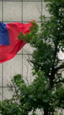 Tayvan bayrağının dikey yavaş hareketi canlı yeşil yapraklarla kısmen gizlenerek ulusal kimliğin ve doğanın sembolik bir görünümünü oluşturuyor..