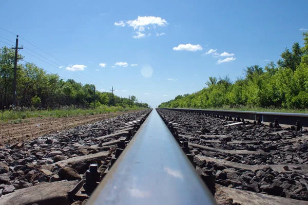 Railroad tracks in the field