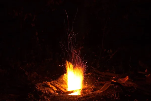 Feu Nuit Unique Dans Nature — Photo