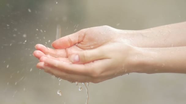Female Hands Collect Rainwater Palms Pouring Concept Healthcare Cleanliness Bodycare — Stock Video