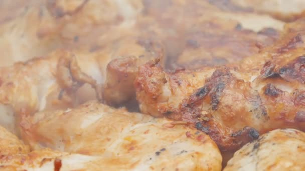 美味的鸡翅在烟雾从火 肉烧烤野餐 — 图库视频影像