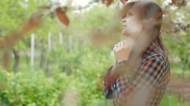 Beautiful Young Woman Turns God Feelings Prayer Girl Folded Her — Stock Video