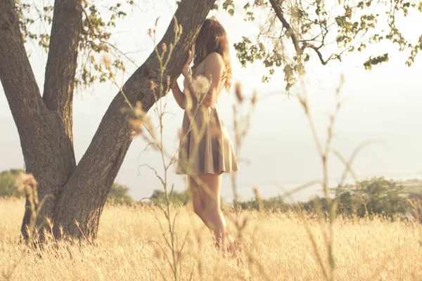 Ragazza sulla natura, giovane donna che cammina nel campo estivo al tramonto nascosto dietro un albero — Foto Stock