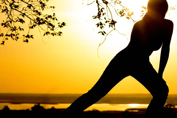 Silueta de una mujer joven dedicada a la aptitud en la naturaleza al atardecer, un perfil femenino deportivo, el concepto de deporte y cuidado de la salud —  Fotos de Stock